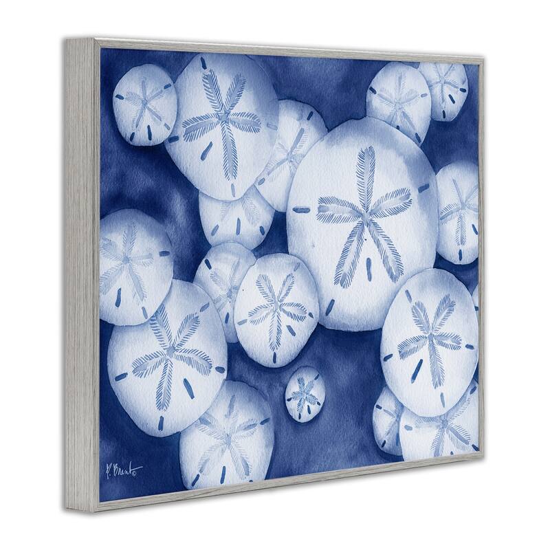 Stupell Watercolor Style Sand Dollars Framed Giclee Art Design By Paul Brent