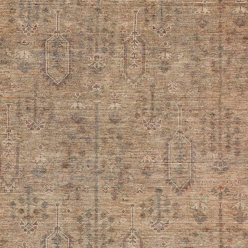 HomeRoots Southwestern Transitional Rectangle Outdoor Rug