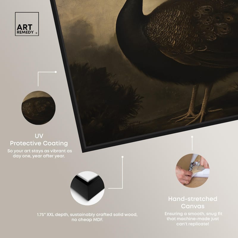 Peacock in Monotone Canvas by Art Remedy