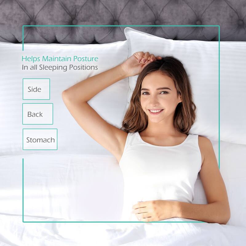 Nestl 100% Cotton Cover Premium Plush Down Alternative Bed Pillow