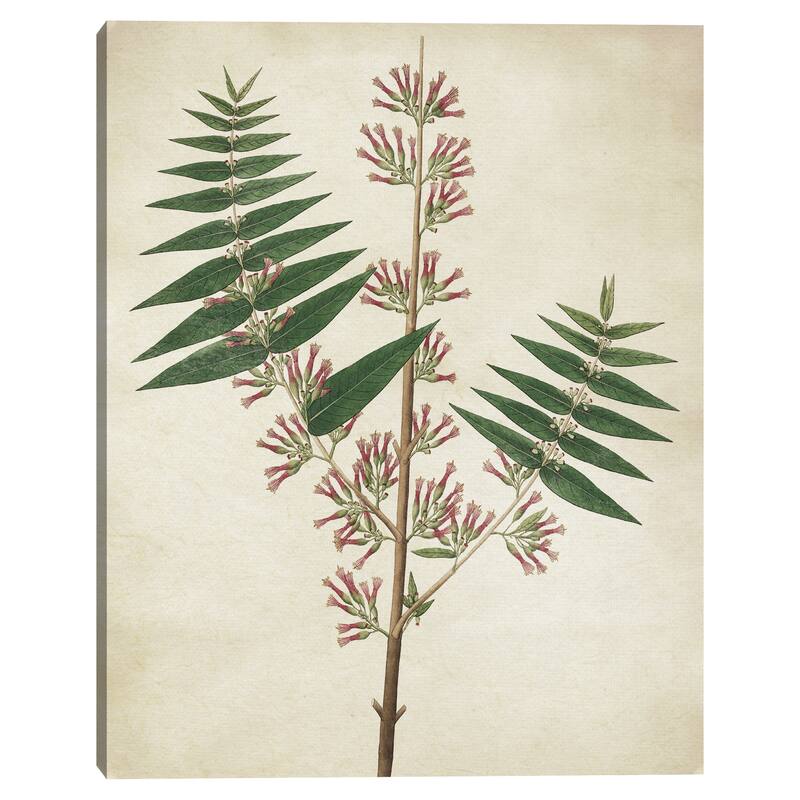 Simple Nature II Texture by Design Lab Canvas Art Print