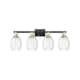 Option Black Antique Brass / Clear