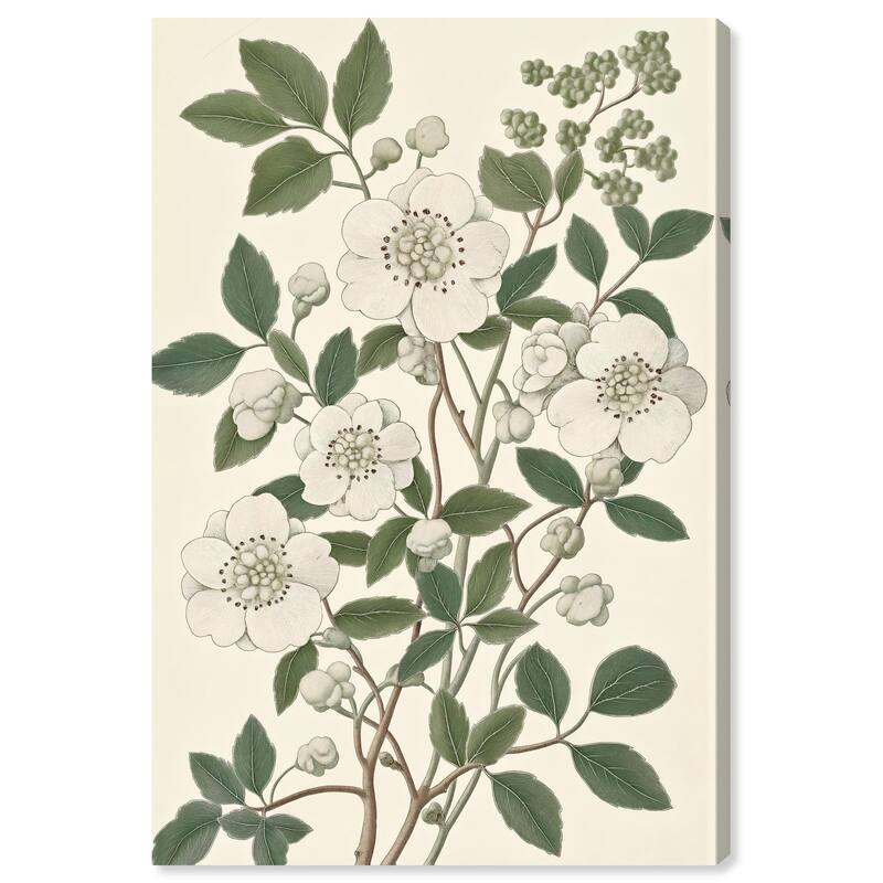 White Cherokee III Canvas by Art Remedy, Gallery Wrapped - 20" x 30"