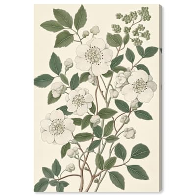 White Cherokee III Canvas by Art Remedy, Gallery Wrapped