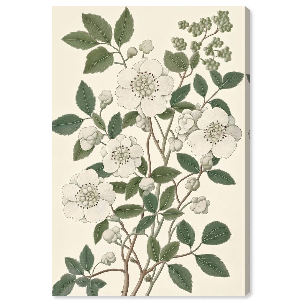 White Cherokee III Canvas by Art Remedy, Gallery Wrapped