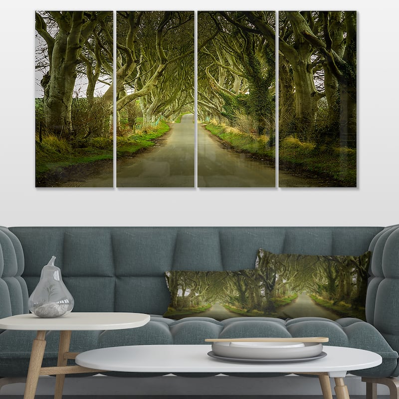 Designart "Dark Hedges Road through Old Trees" Landscape Wall Artwork Print on Canvas