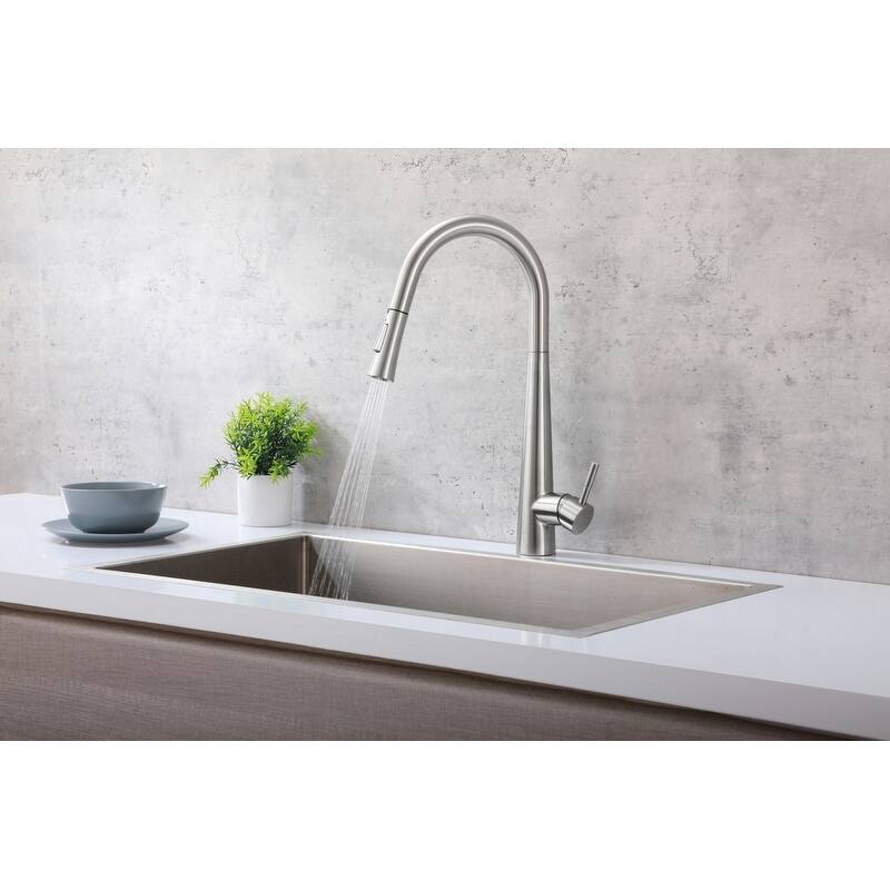 Indigo Home Single Handle Pull Down Sprayer Kitchen Faucet