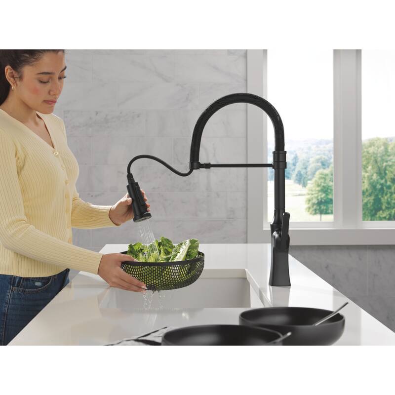 Delta 18887-DST Ermelo 1.8 GPM Single Hole Pre-Rinse Spring Spout Pull
