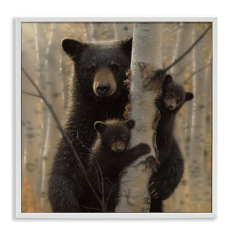 Stupell Black Bear and Cubs Soft Birch Tree Forest Framed Wall Art