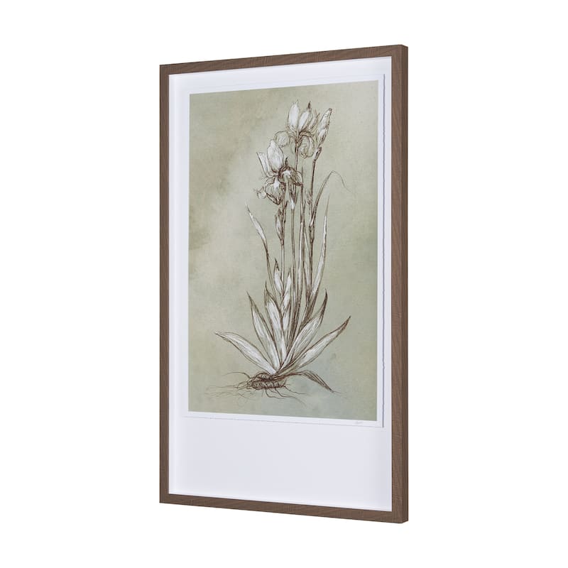 Botanical Sketch IV (green)