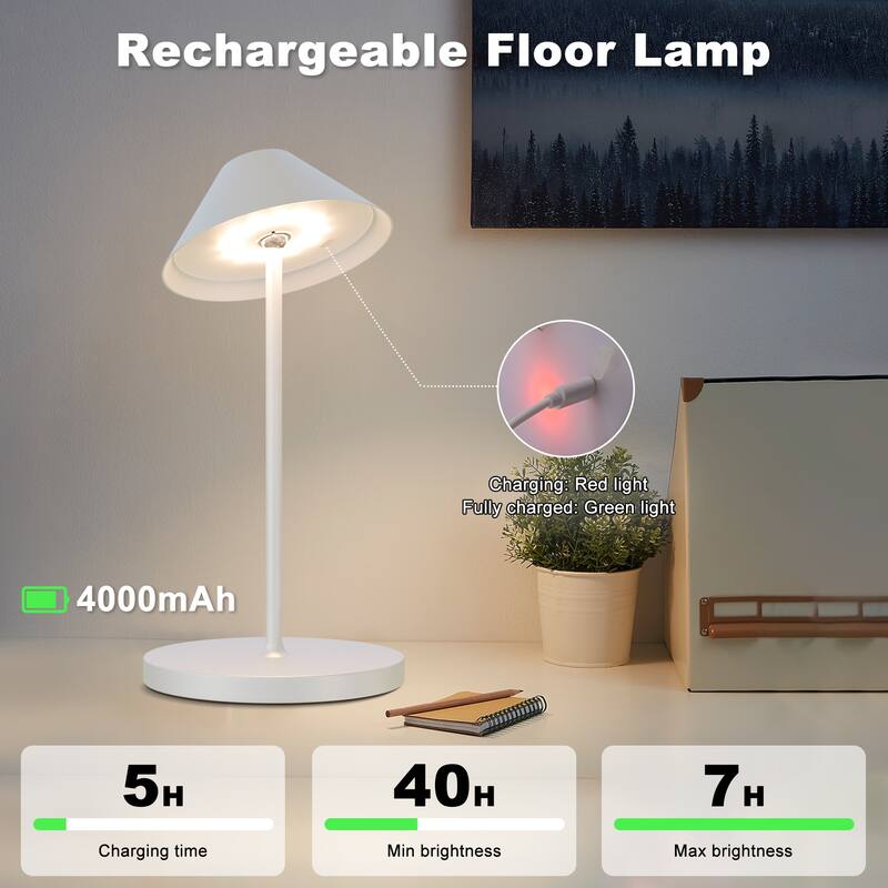 Netin 58 in. Smart RGB Integrated LED Dimmable Waterproof Rechargeable Standard Floor Lamp for Living Room and Outdoor - 58 in