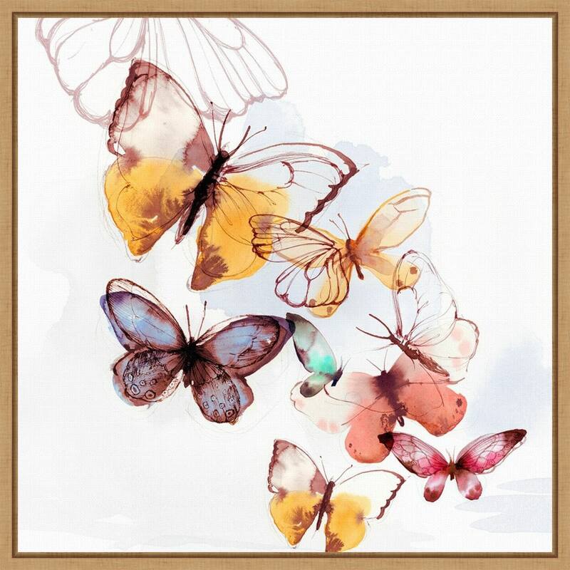 Butterfly Fly Away I by PI Gallerie Framed Canvas Art
