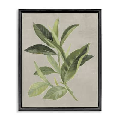 Stupell Green Tea Plant Leaf Framed Floater Canvas Wall Art Design By Lanie Loreth