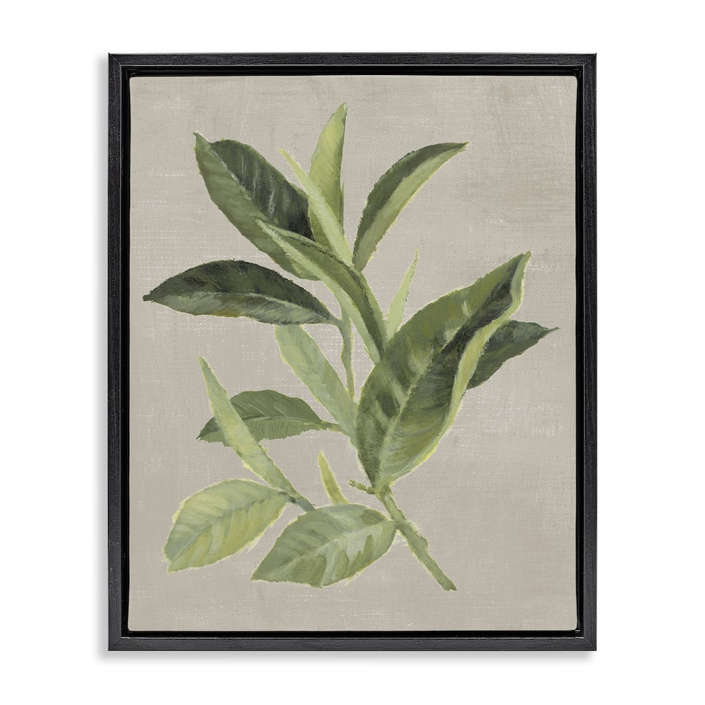 Stupell Green Tea Plant Leaf Framed Floater Canvas Wall Art Design By Lanie Loreth