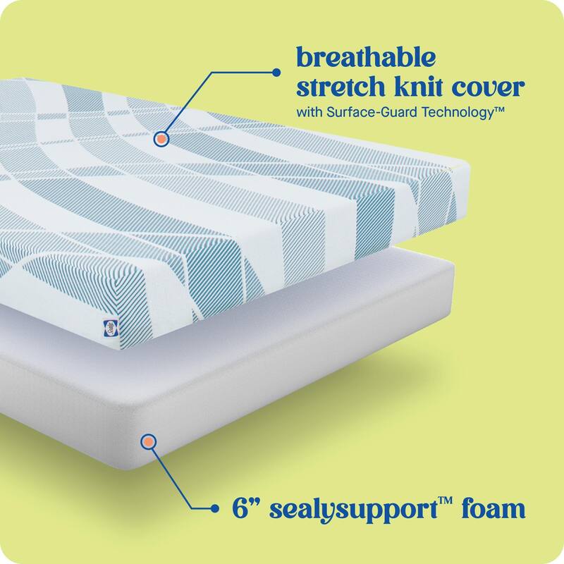 Sealy Dreamlife 6" Foam Mattress-in-a-Box