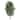 4' Single Ficus Artificial Tree (No Pot) - 6"