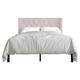 Option Light Pink