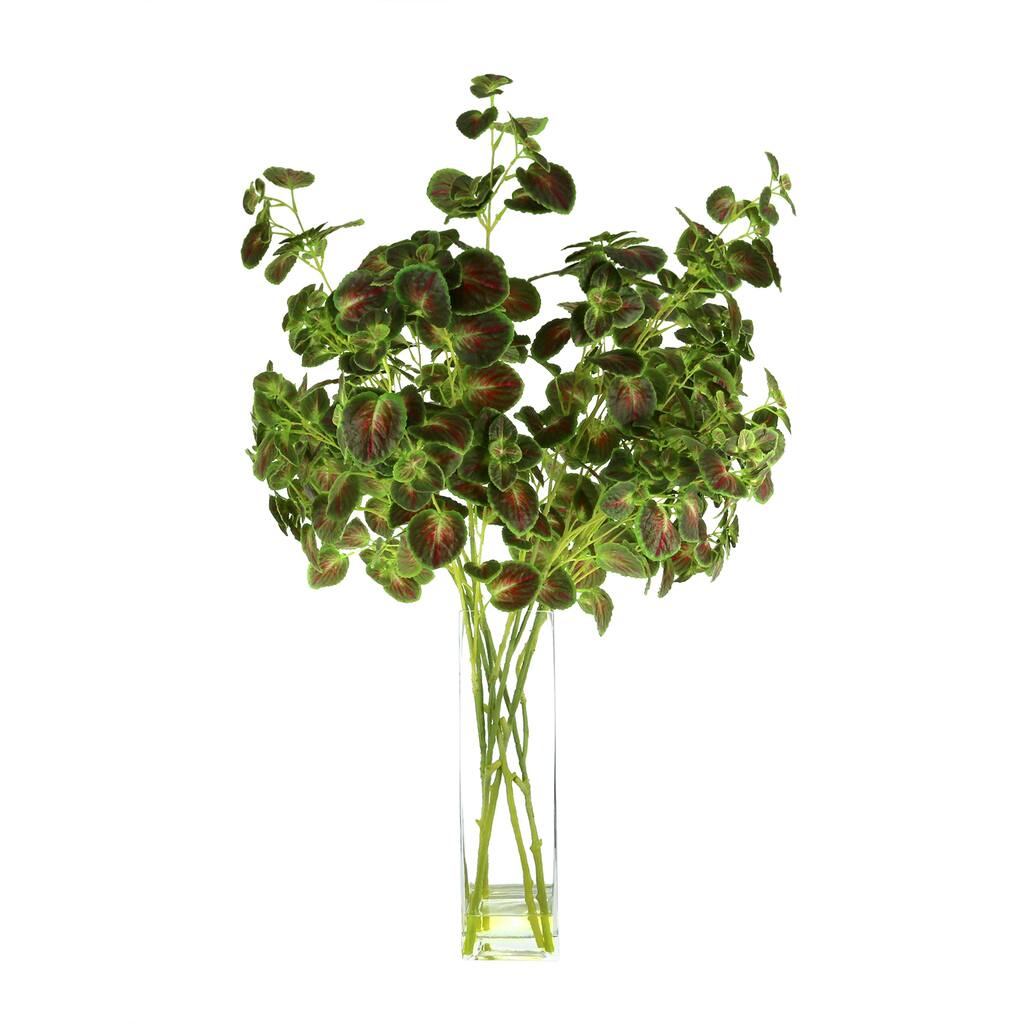 Organic Modern Mint Leaves Arranged in a Clear Glass Vase - Green