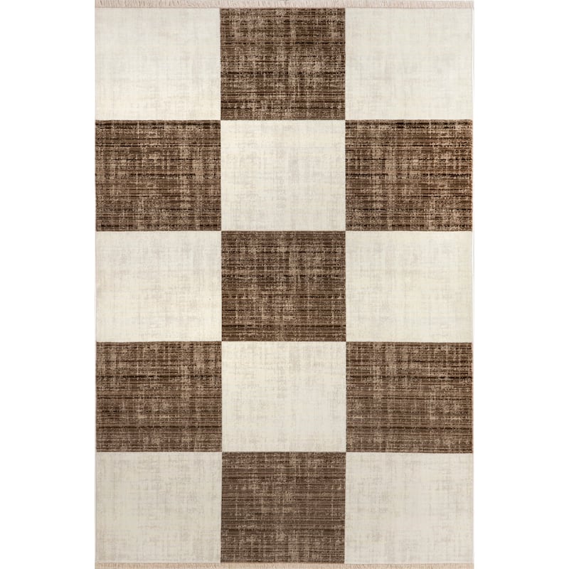 Aspen Checkerboard Fringed Area Rug