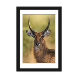 iCanvas "Mr. Waterbuck" by Patsy Weingart PFA