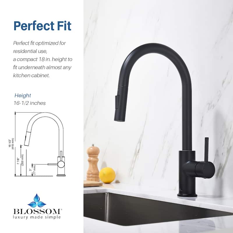 Blossom Solid Pull-Down Kitchen Faucet w/ 360 Swivel, Single Handle