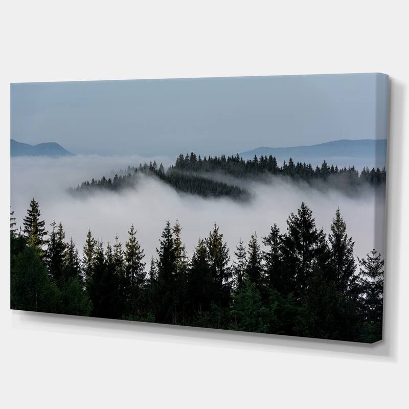 Dark Trees and Fog Over Mountains - Landscape Art Print Canvas