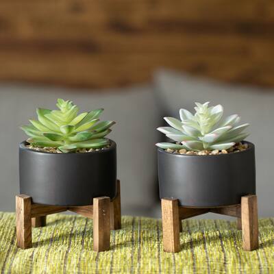 Artificial Plant SET OF 2 SUCCULENTS IN CERAMIC POT ON WOOD STAND - ONE-SIZE