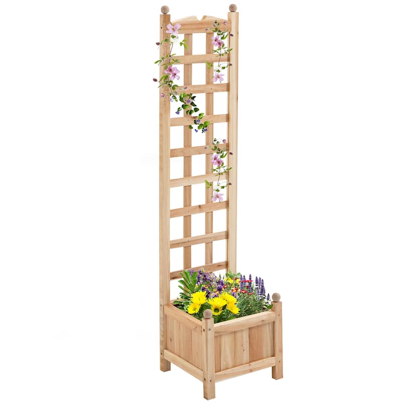 Countryside Style Outdoor Planter Box Garden Bed with Trellis Drainage Crevices, for Climbing Vine Plants Flowers - 8' x 10' - Yellow