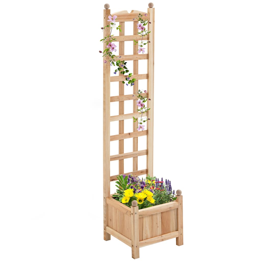 Countryside Style Outdoor Planter Box Garden Bed with Trellis Drainage Crevices, for Climbing Vine Plants Flowers - 8' x 10'