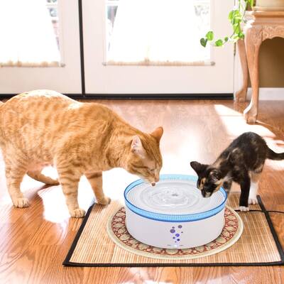 Cat Feeders Waterers Find Great Cat Supplies Deals Shopping At