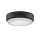 preview thumbnail 3 of 4, Fanimation Levon Custom Smart Ceiling Fan Correlated Color Temperature(CCT) Select LED Light Kit
