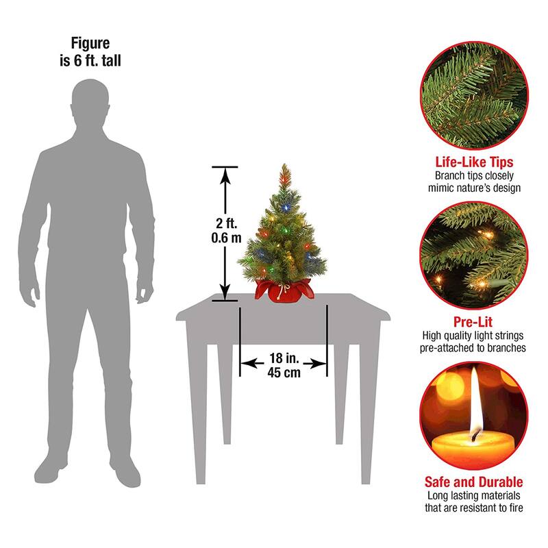 National Tree Company 2 Ft Artificial Christmas Majestic Fir w/ Colored Lights - 2.82
