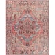 Adenia Vintage Medallion Printed Area Rug