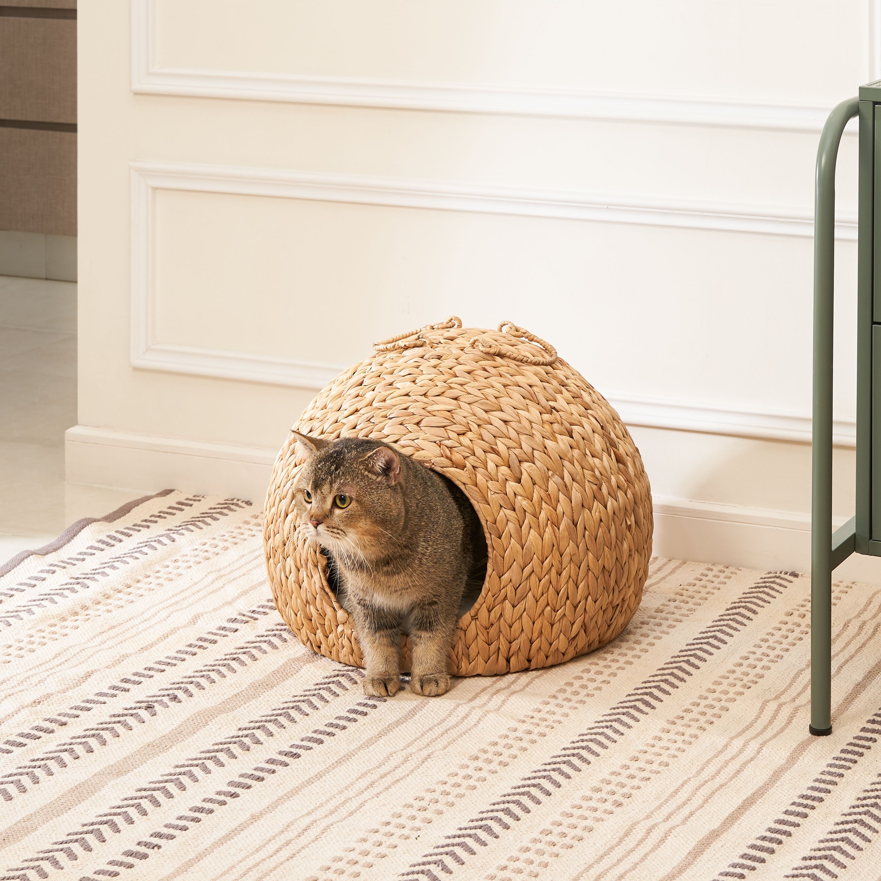 Gertrude Water Hyacinth Woven Wicker Round Cat Bed Cave 18 x 18 x 18 Bed Bath Beyond 40039970