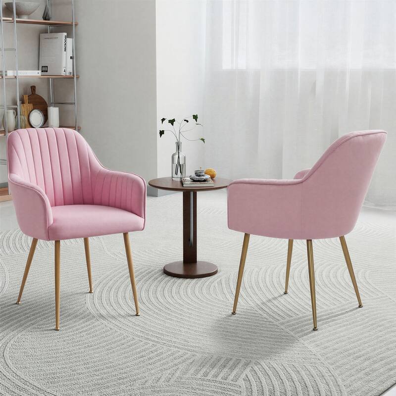 Velvet Accent Dining Chairs with Gold Metal Legs Set of 2