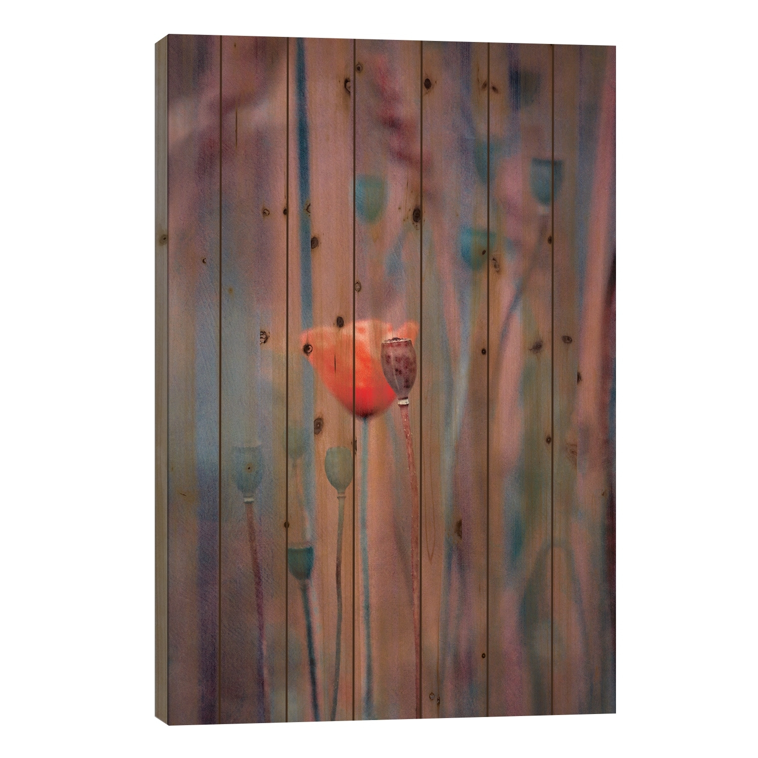Whispers Print On Wood by Claudia Drossert - Multi-Color