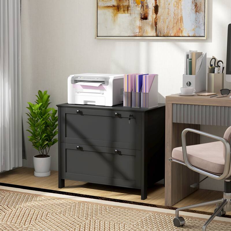 2 Drawer File Cabinet with Lock, Lateral Filing Cabinet with Keys and Adjustable Hanging Bar for Letter