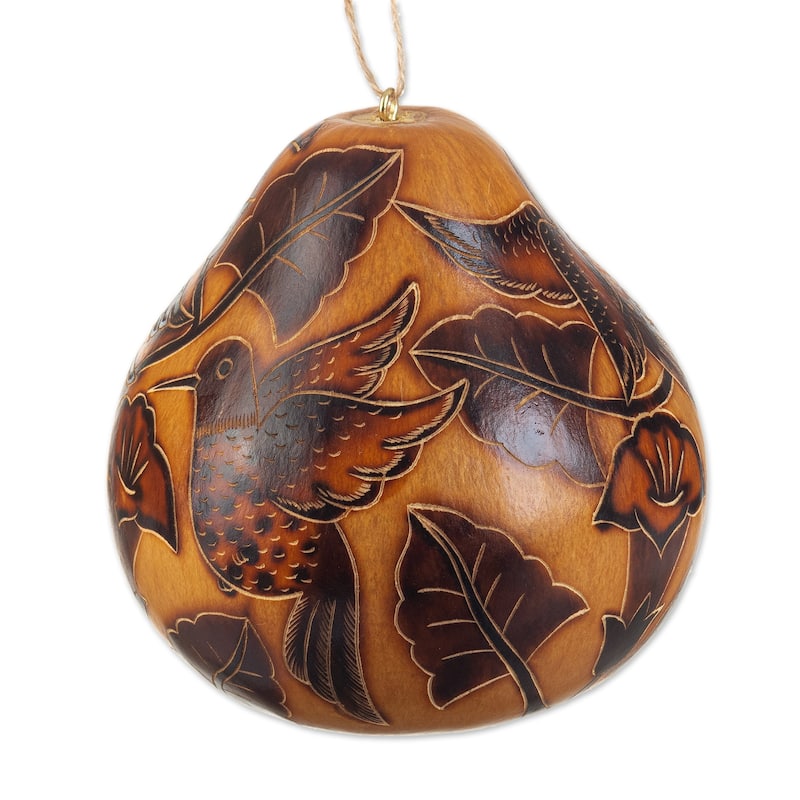 Novica Handmade Flight Of The Hummingbird Dried Gourd Birdhouse