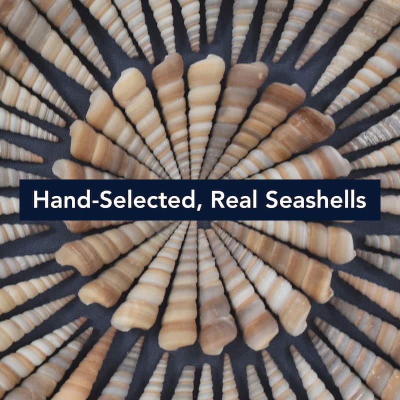 American Art Decor 2-Piece Coastal Seashell & Sea Glass Shadowbox Framed Wall Art Set
