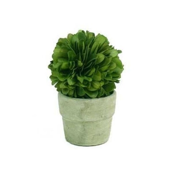 Autograph Foliages AUV-102770 4 ft. Boxwood Ball Topiary