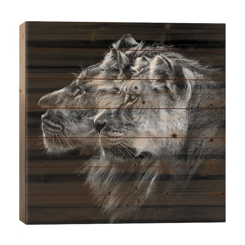 Lion And Lioness Portrait Print On Wood by Laurent Lothare Dambreville - Multi-Color - 26x26x1.5