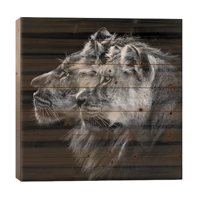 Lion And Lioness Portrait Print On Wood by Laurent Lothare Dambreville - Multi-Color
