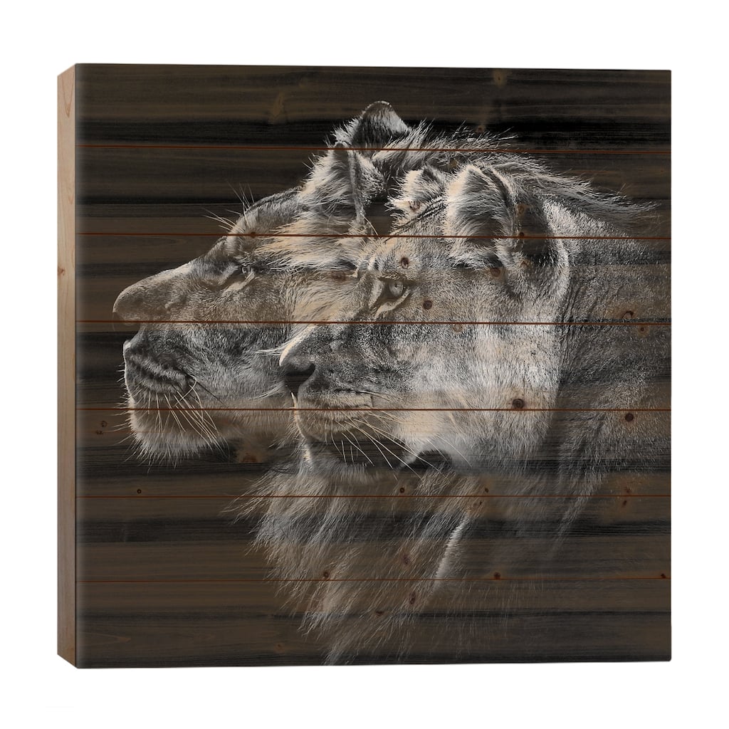 Lion And Lioness Portrait Print On Wood by Laurent Lothare Dambreville - Multi-Color