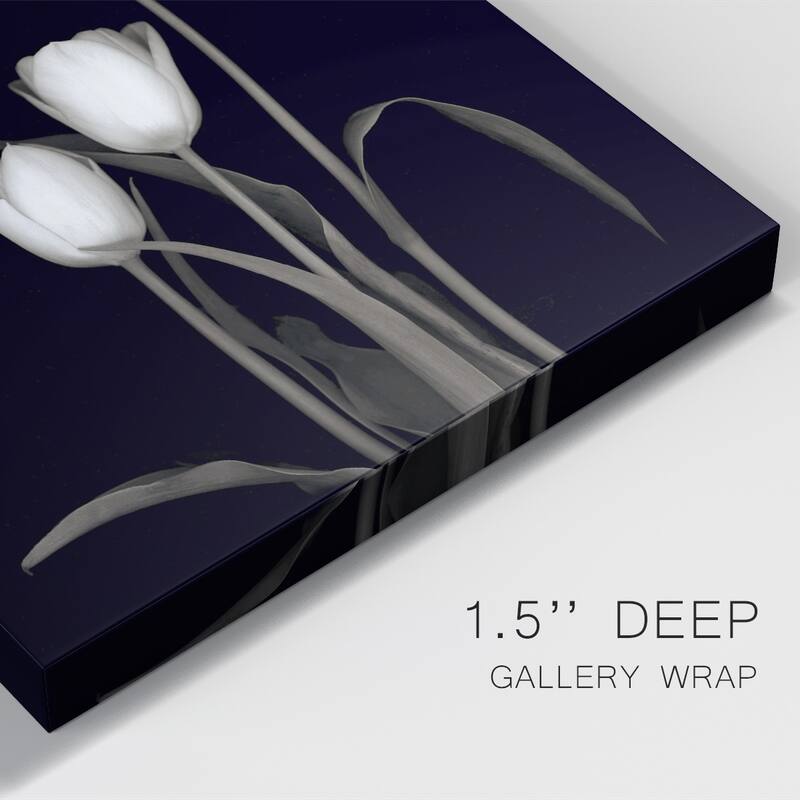 Tulip Pose III Premium Gallery Wrapped Canvas - Ready to Hang