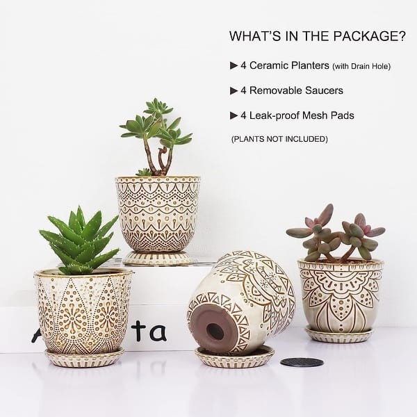 Succulent Pot, 4 Inch Small Indoor Ceramic Planter - Bed Bath & Beyond -  38255169