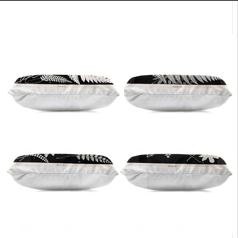 Stupell White Ferns on Black Printed Outdoor Throw Pillow Design by Phillipa Katz (Set of 4)