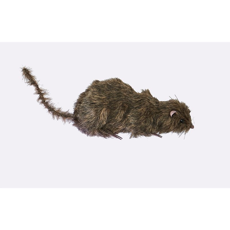 10" Rat