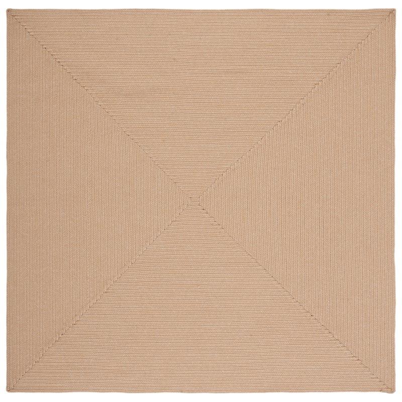 SAFAVIEH Handmade Braided Country Casual Lavada Rug