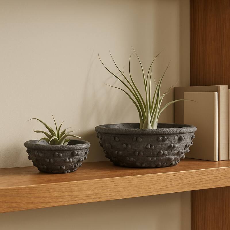 Terracotta Decorative Bowl with Tapered Shape-Set of 2, 12", 8", Black