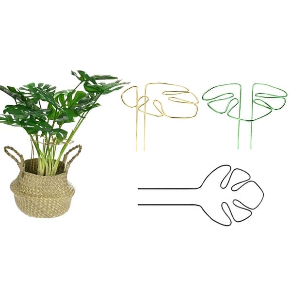 philodendron micans pink variegata Philodendron Micans Marble Variegated 10.5cm Houseplant – OH SO Floral main image 1